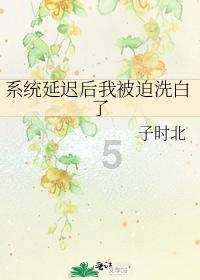圣铠传说