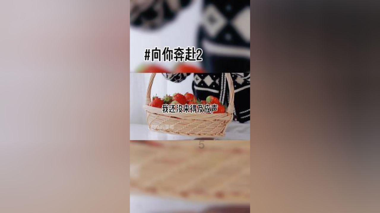 寻找迷路的女孩