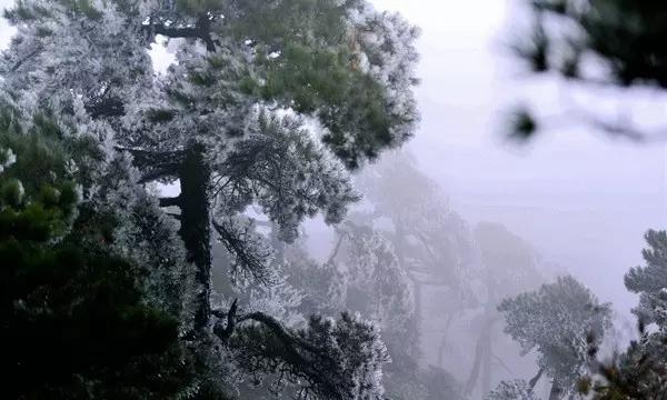 几何霓虹冲刺4无敌版