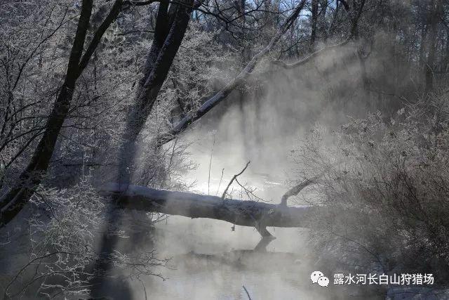最新！基金公司2023年规模排名出炉 华夏、天弘上升1位 广发南方下降1位（附全名单）