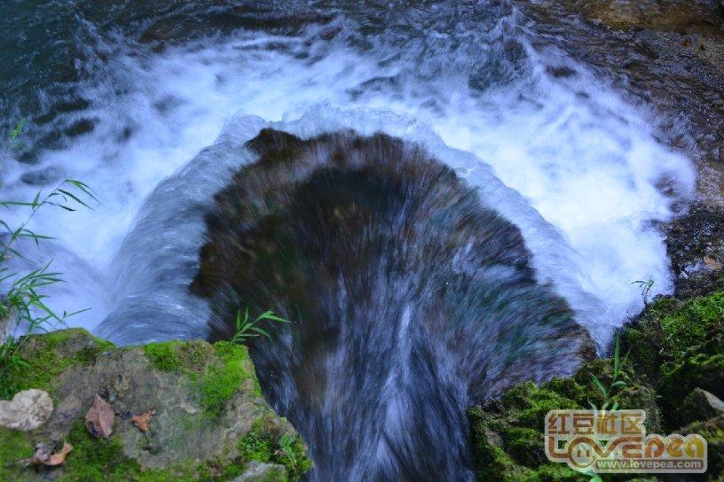 救援海盗章鱼