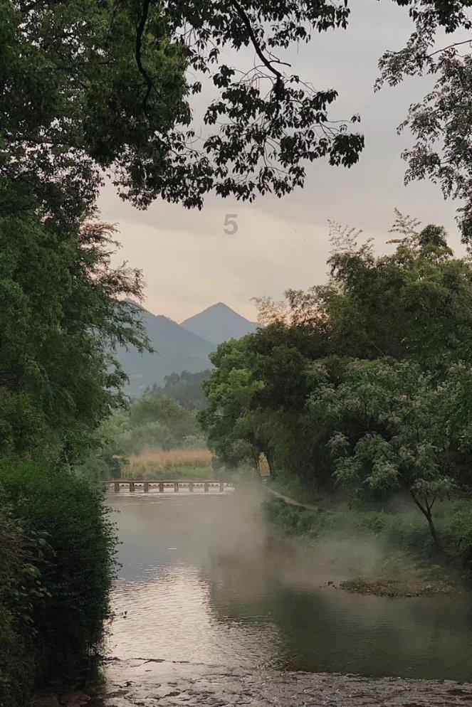 穿越遗弃的森林