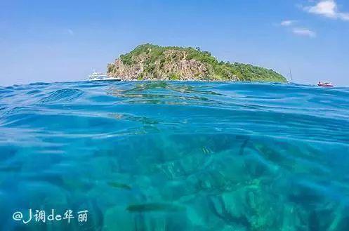 救援海盗章鱼