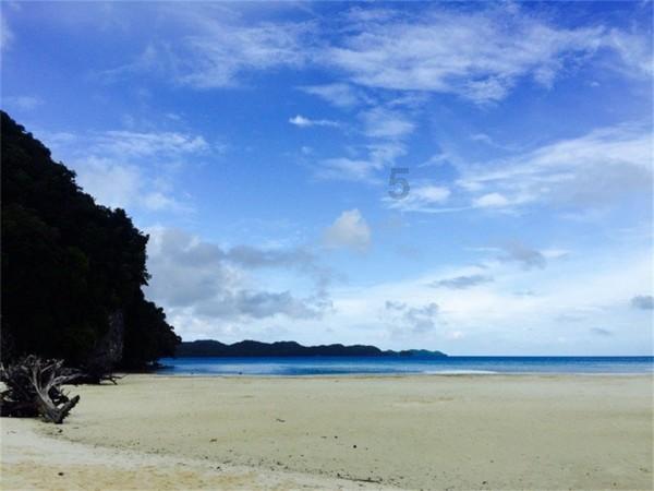 王德民院士:高考满分却遭清北拒收,学采油成大庆油田高产功臣