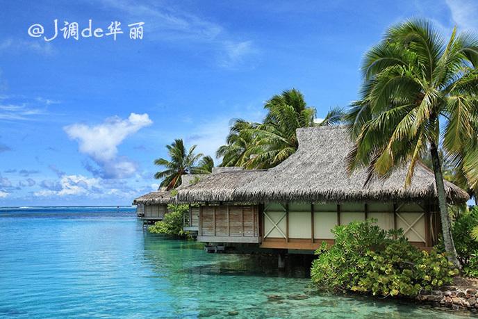 小艾比当海军