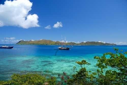 燃烧吧大脑免广告最新版