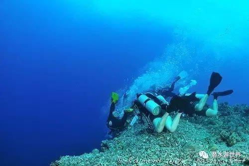 秘密基地找不同