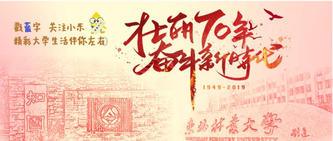 小猫钓鱼游戏龙王版有船