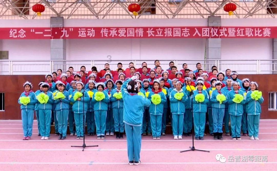 虫虫助手下载