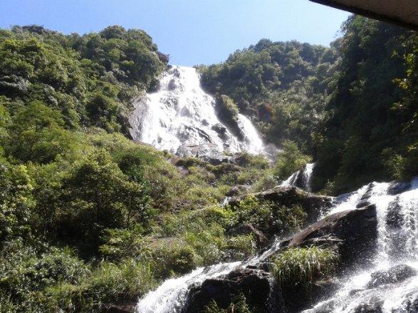 上海市少工委召开八届五次全体(扩大)会议