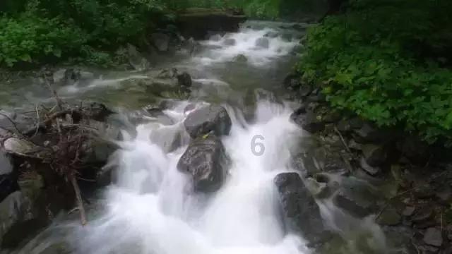 印度13.53亿人口，为什么不控制？游戏画面