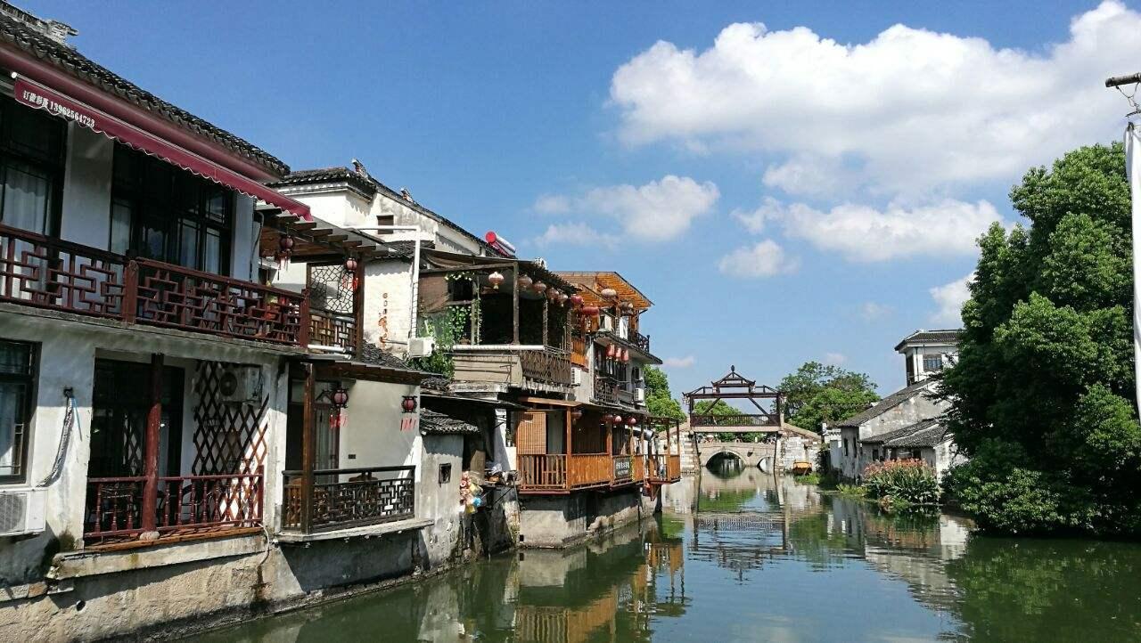 动物帮帮忙保卫家园