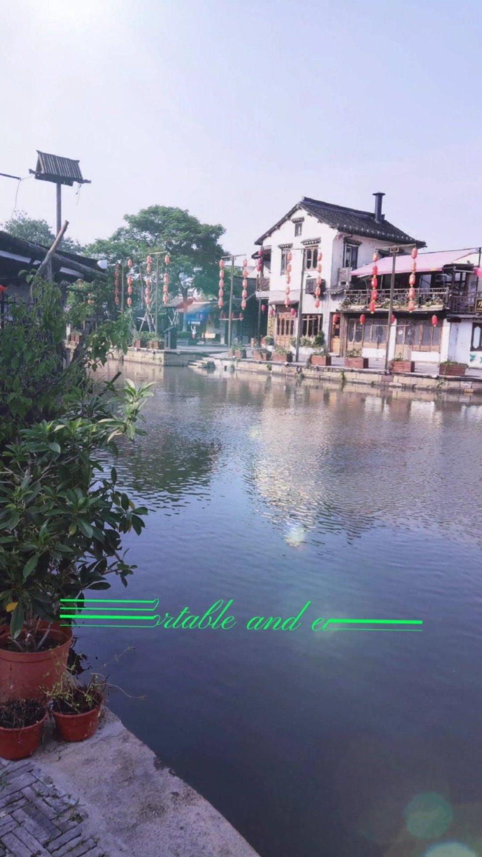 泡沫森林