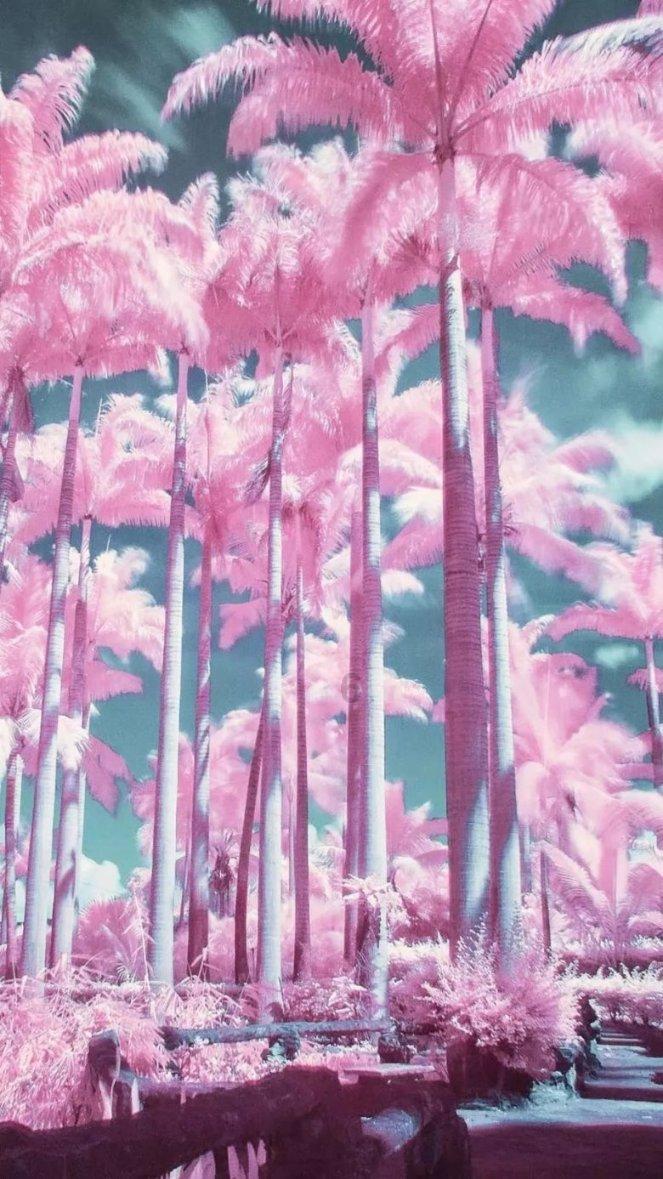 拯救龙精灵